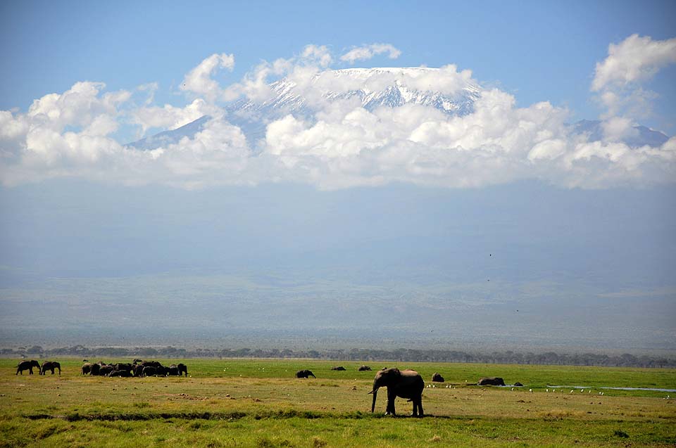 Kenya 2011 353