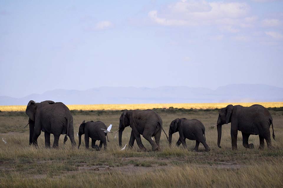 Kenya 2011 367