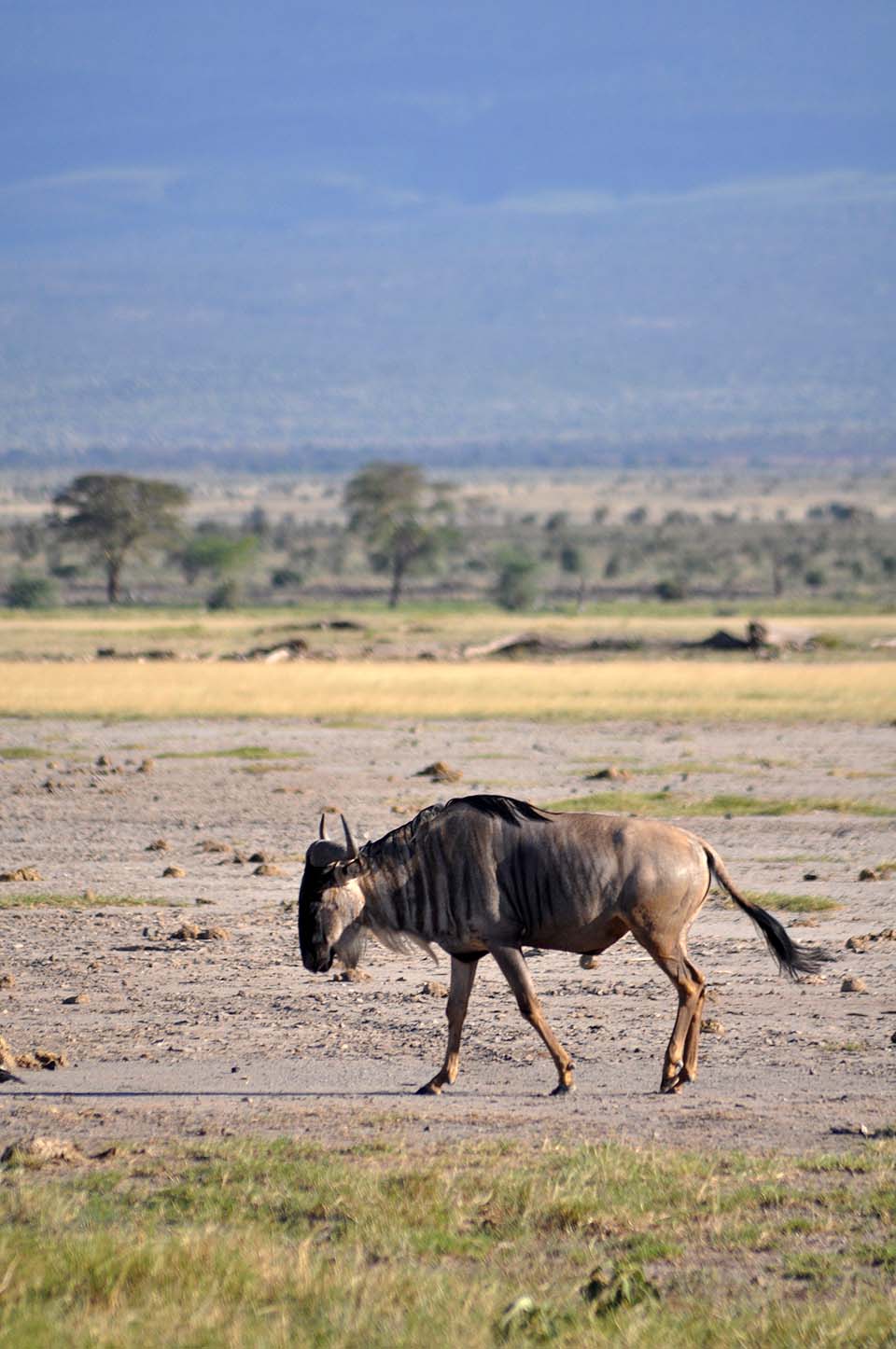 Kenya 2011 382