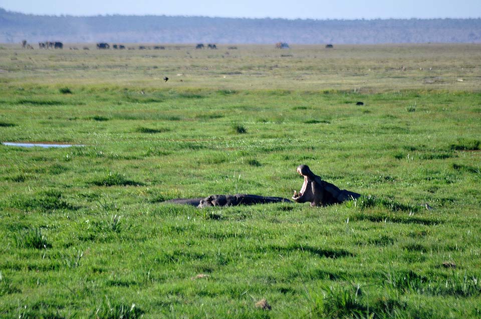 Kenya 2011 384