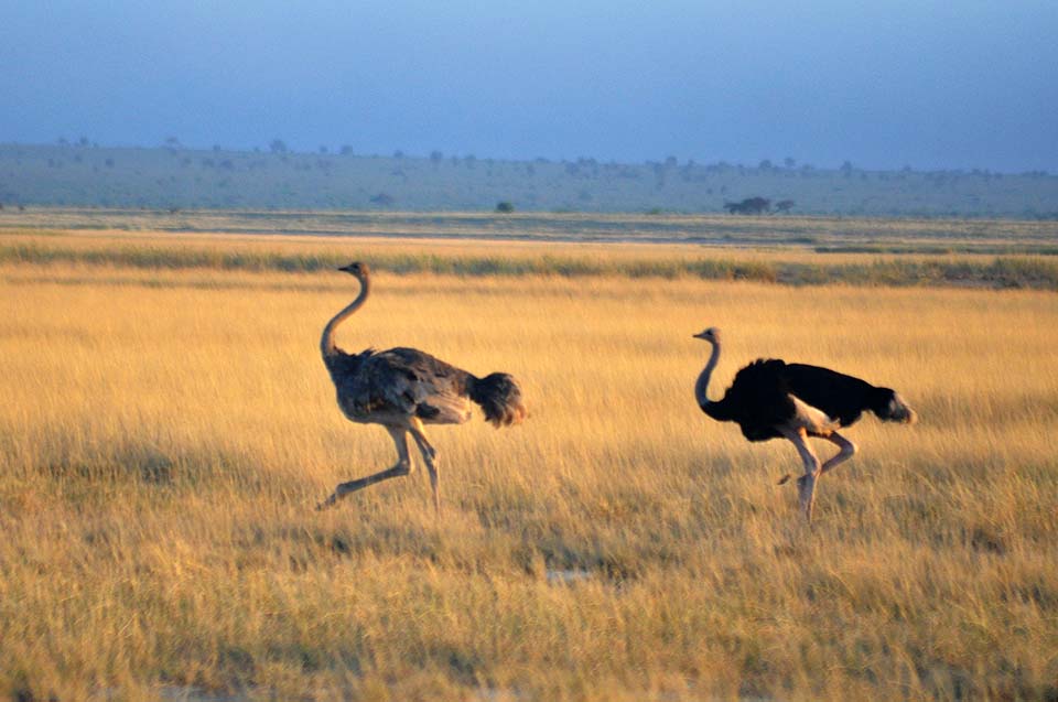 Kenya 2011 414