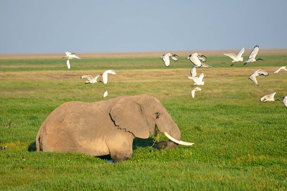 Kenya 2011 417
