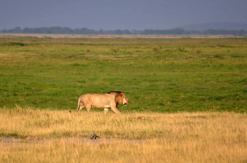 Kenya 2011 423