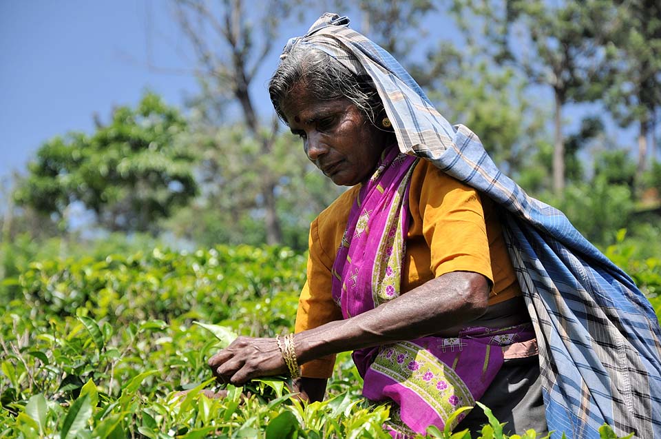 Sri Lanka 1070
