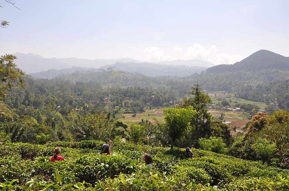 Sri Lanka 1099