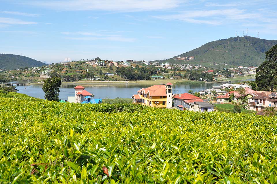 Sri Lanka 1139