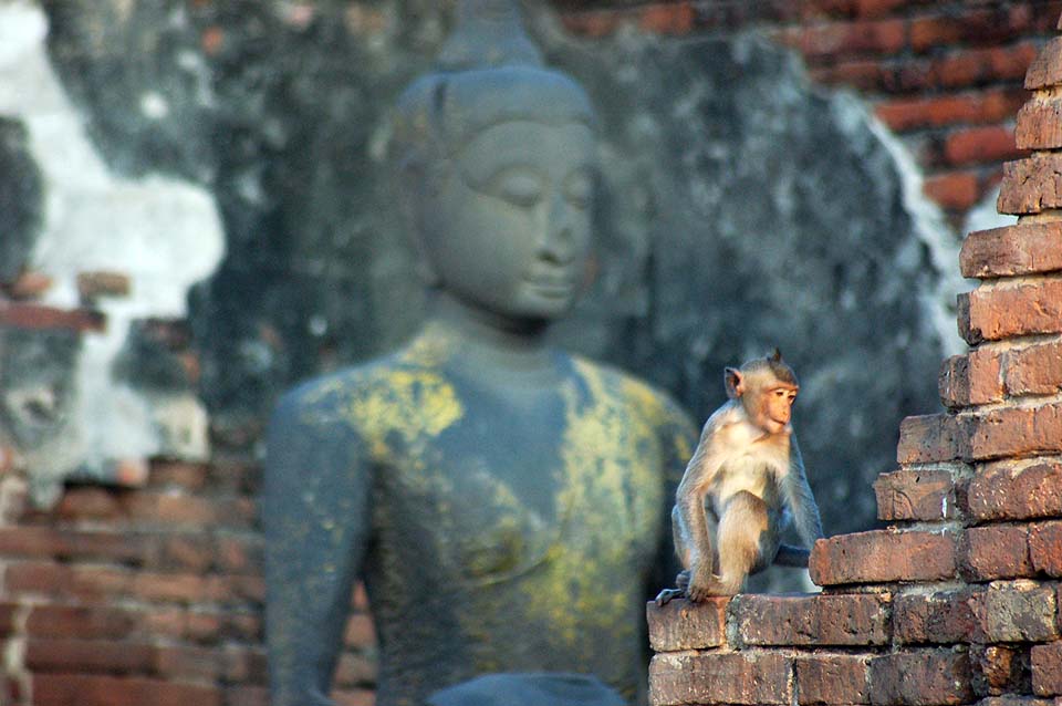 Thailande 2008 0211