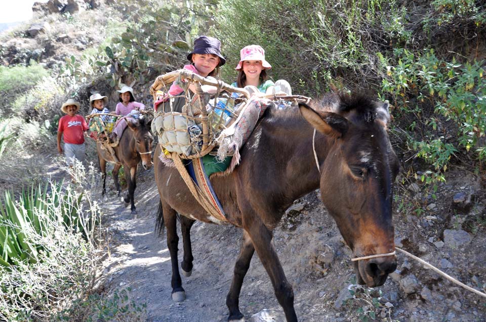 Perou, randonnee en mule dans le canyon del Colca Perou, randonnee en mule