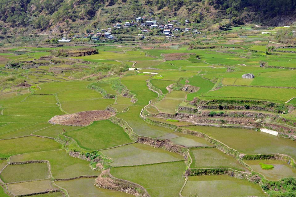 Philippines 584