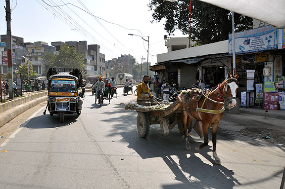 Inde 1319