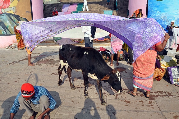 Inde 194