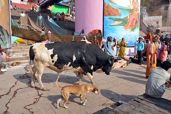 Inde 208