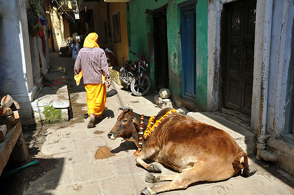 Inde 267