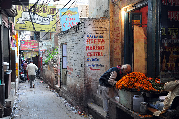 Inde 310