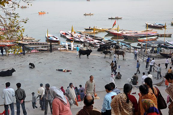 Inde 320