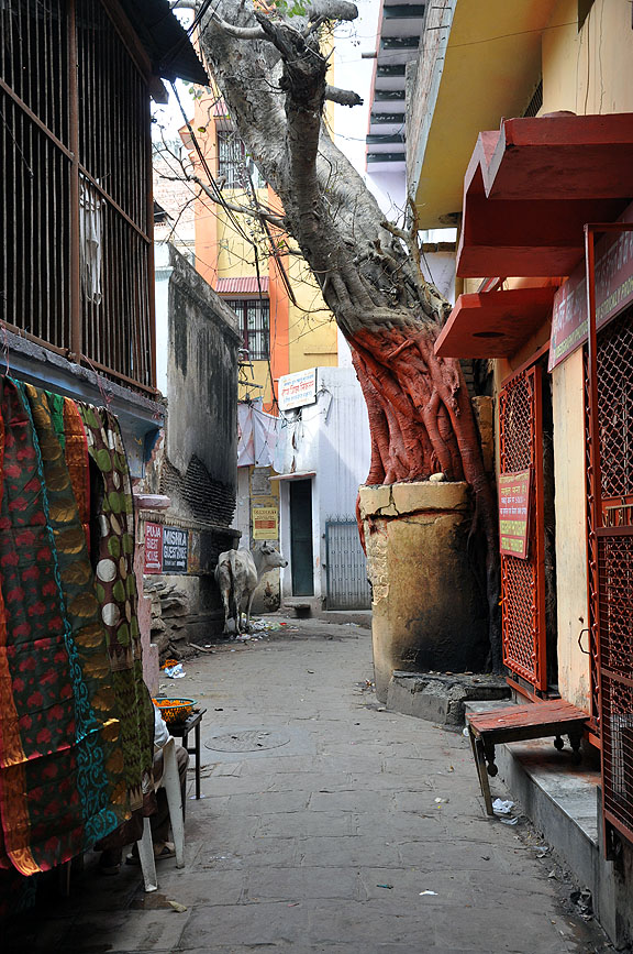 Inde 677