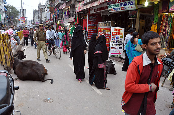 Inde 699