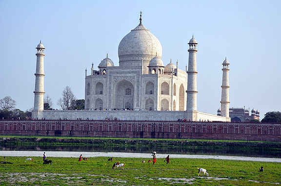 Inde 988
