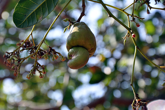 cambodge-048