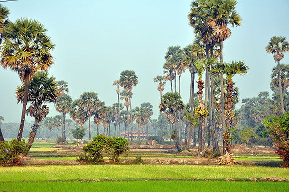 cambodge-805