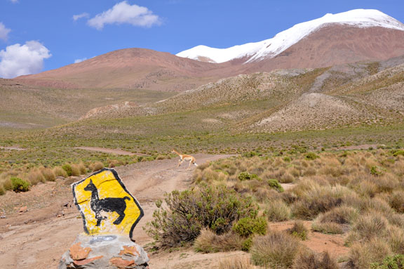 Bolivie, Bolivia 491