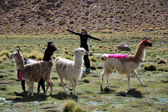 Bolivie, Bolivia 530