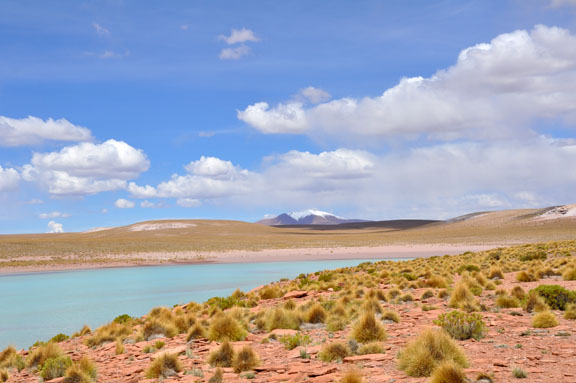 Bolivie, Bolivia 626